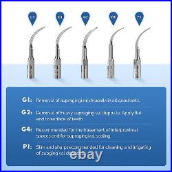 Dental Ultrasonic Piezo Electric Scaler with Handpiece Tips fit Cavitron EMS