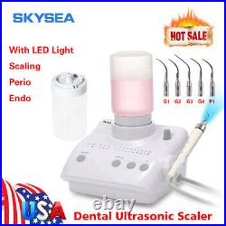 Dental Ultrasonic Piezo Scaler LED Handpiece 2Bottles 5Tips fit EMS Cavitron