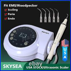 Dental Ultrasonic Piezo Scaler with Handpiece 5Tips fit EMS Cavitron Woodpecker