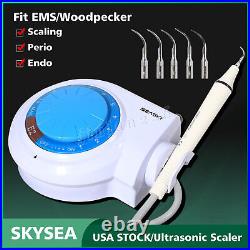 (LED Light) Dental Ultrasonic Piezo Scaler +Handpiece fit EMS Cavitron Handpie